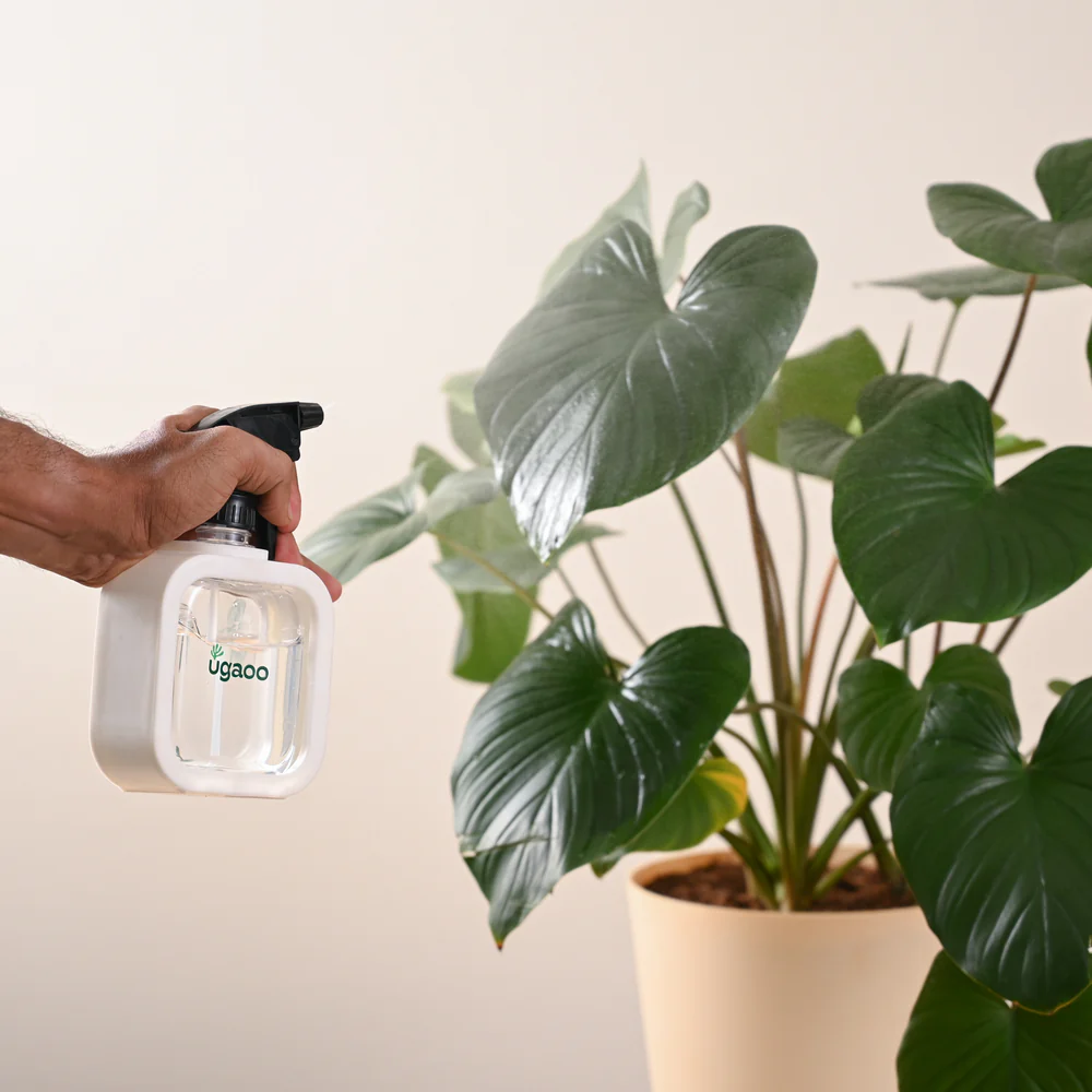 Mistio Sprayer for Plants - Image 20