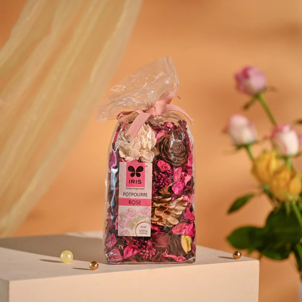Money Plant Festive New Year Employee Gifting Hamper - Image 5