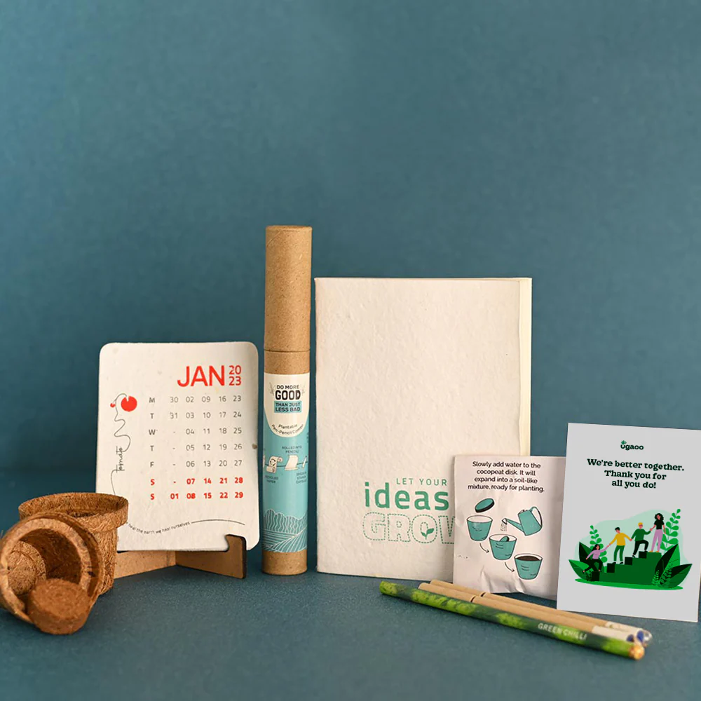 Money Plant Golden and Plantable Essential Box - Image 5
