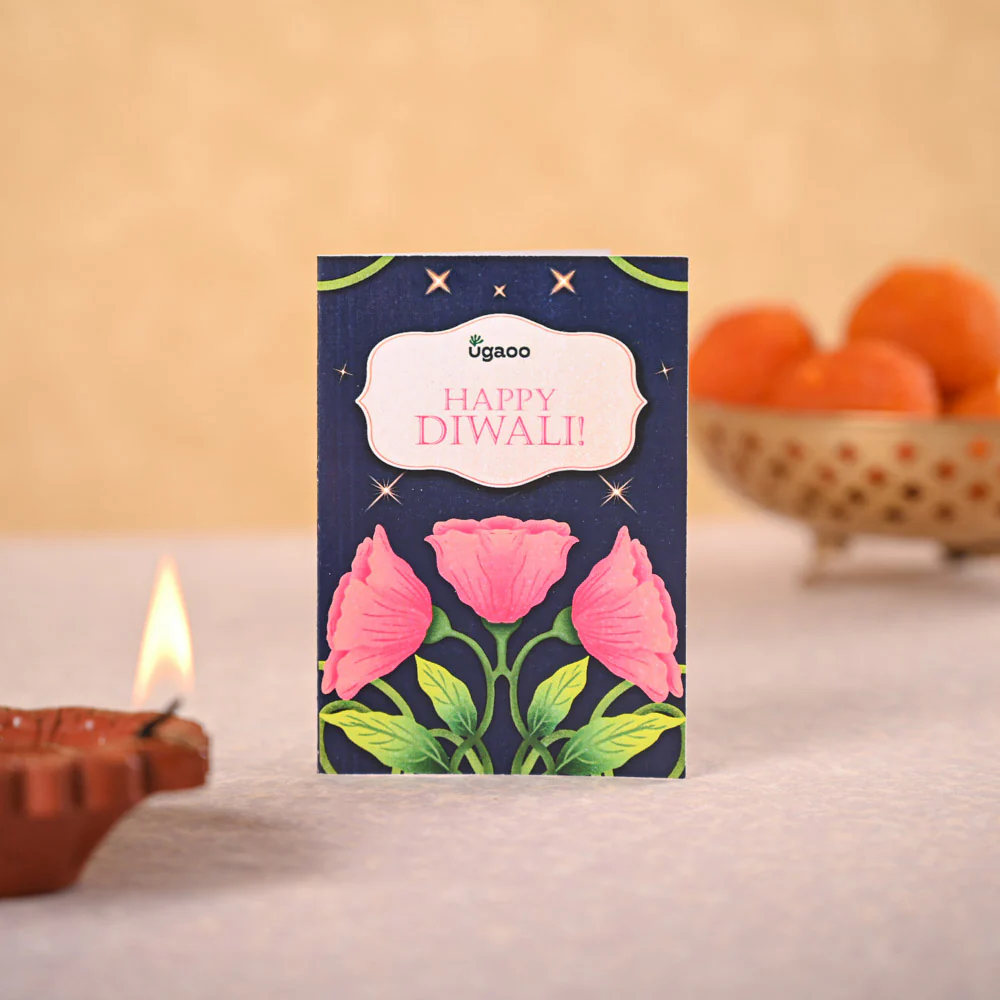 Money Plant Golden & Bombay Sweet Shop Diwali Gift Hamper - Image 4