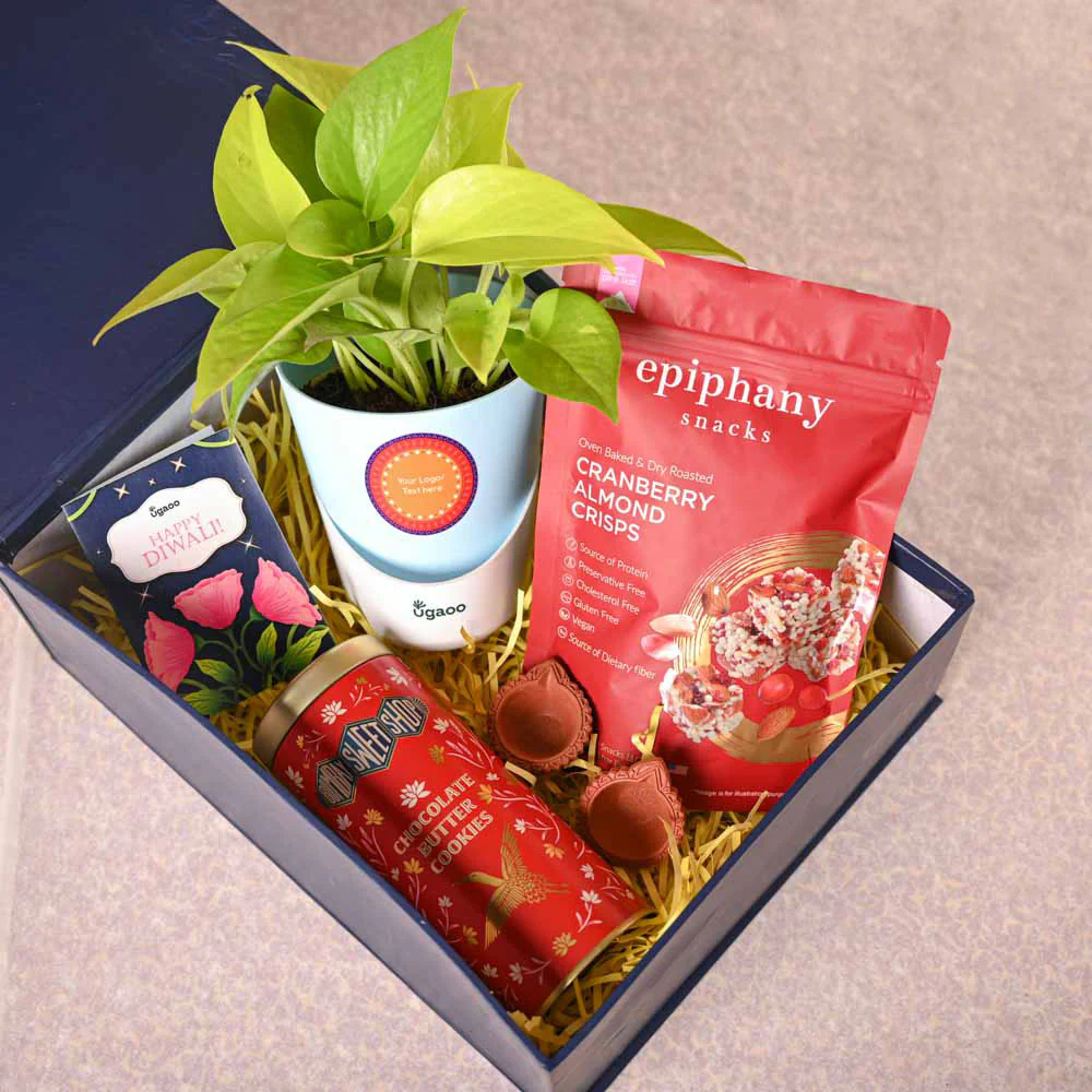 Money Plant Golden & Bombay Sweet Shop Diwali Gift Hamper - Image 8