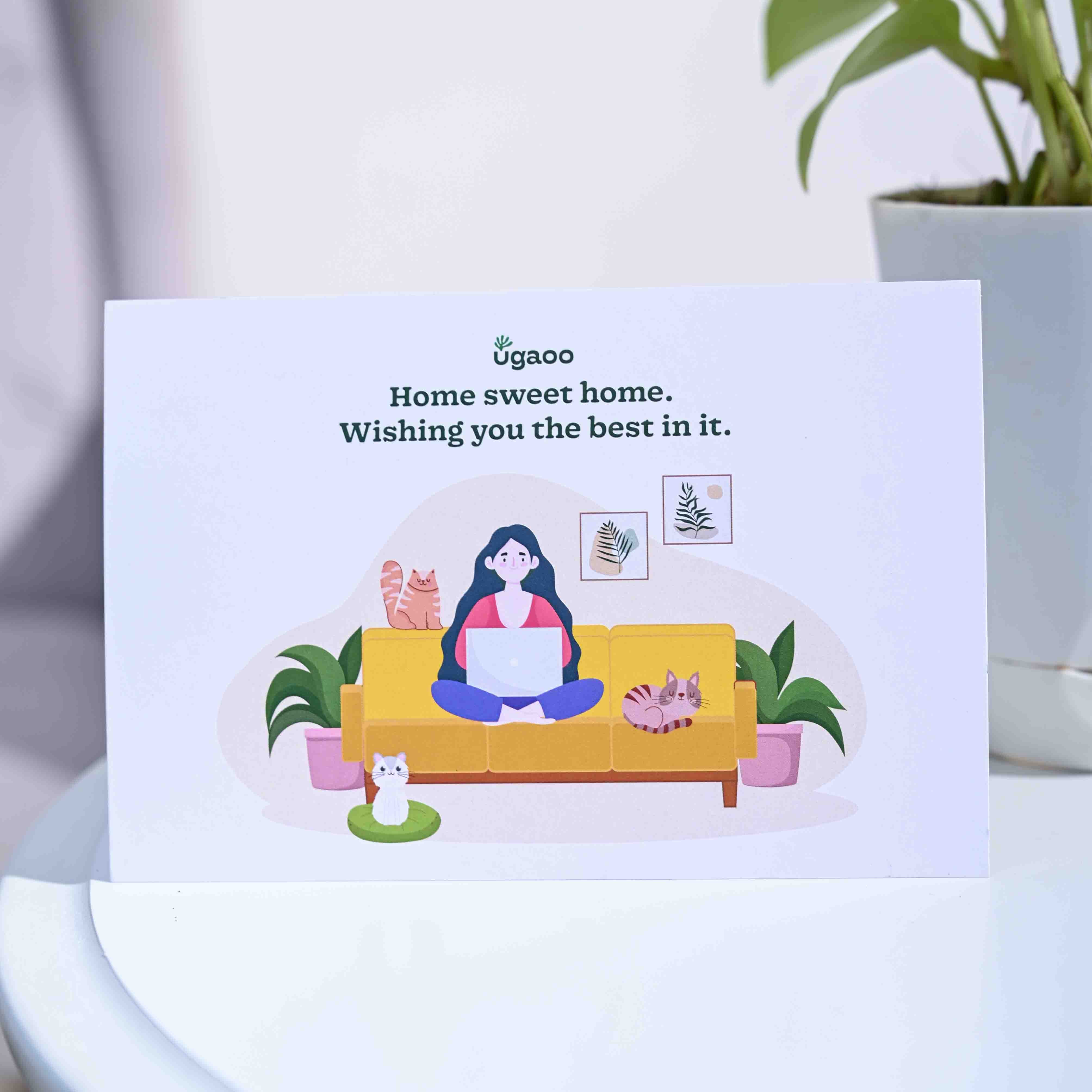Money Plant Golden Housewarming Gift Hamper - Image 4