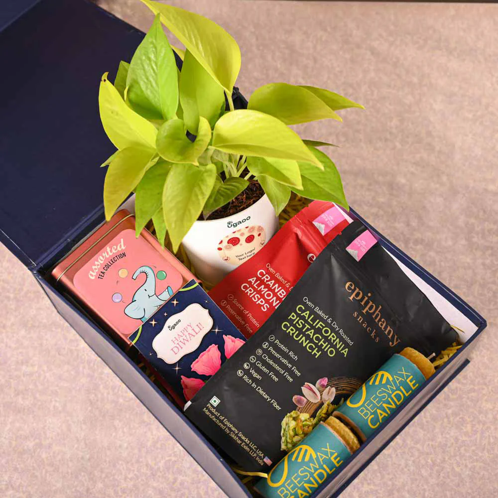 Money Plant Golden Plant & Tea Trunk Diwali Gift Hamper - Image 9