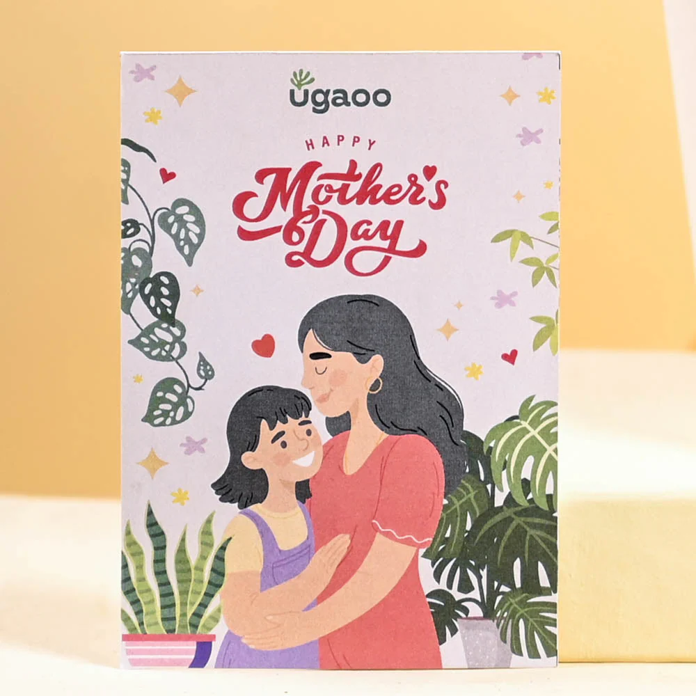 Money Plant Marble For Mother's Day Gifting - Image 2