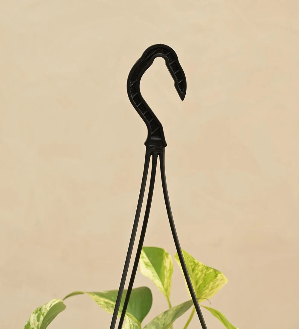 Money Plant Marble With Hanging Pot - Image 4