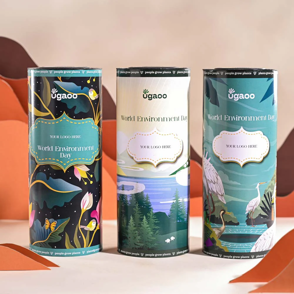 Money Plant N Joy For Environment Day Gifting - Image 35