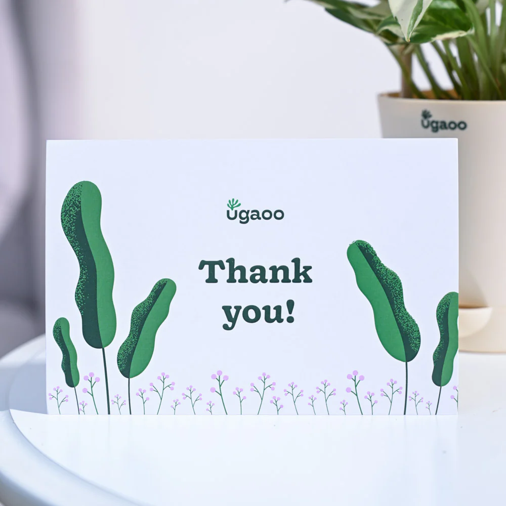 Money Plant N'Joy Thank you Gift Hamper - Image 6