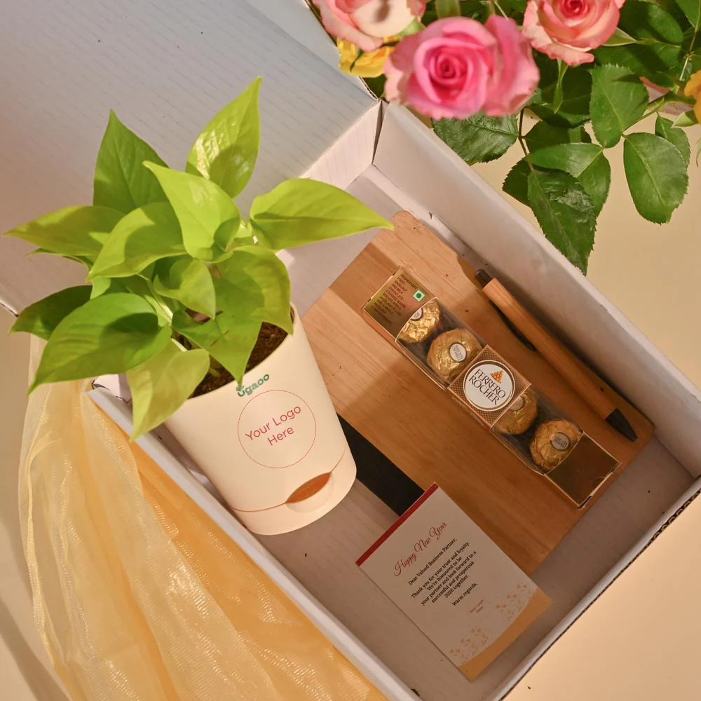 Money Plant New Year Corporate Desk Hamper - Image 8