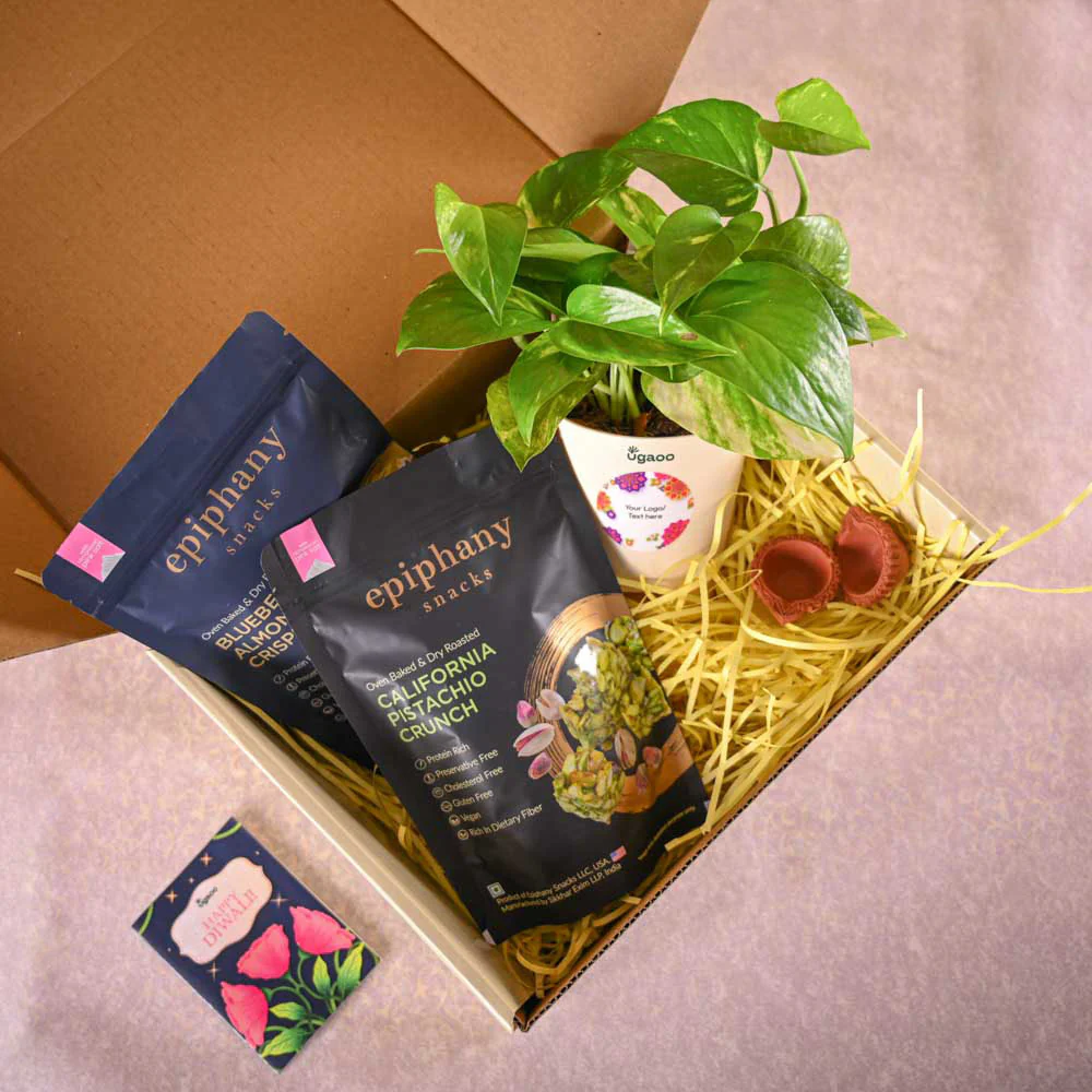 Money plant variegated and Epiphany Snacks Diwali Gift Hamper - Image 7