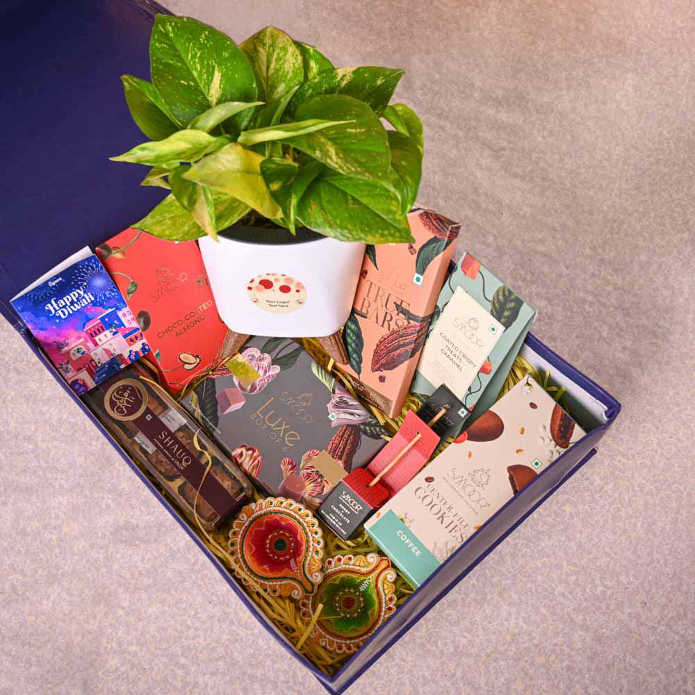 Money Plant Variegated & Smoor Diwali Gift Hamper - Image 12