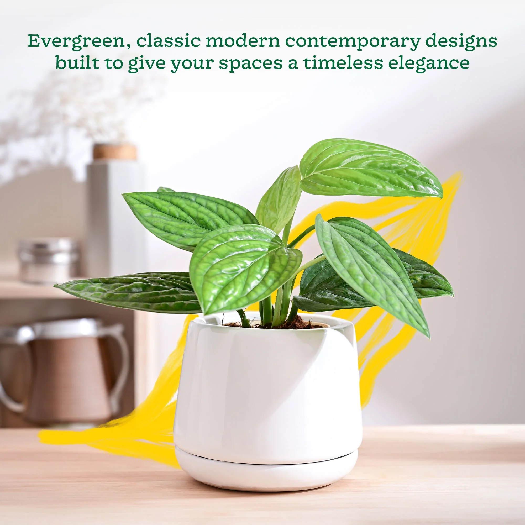 Monsoon Medley Ceramic Planter - Image 10