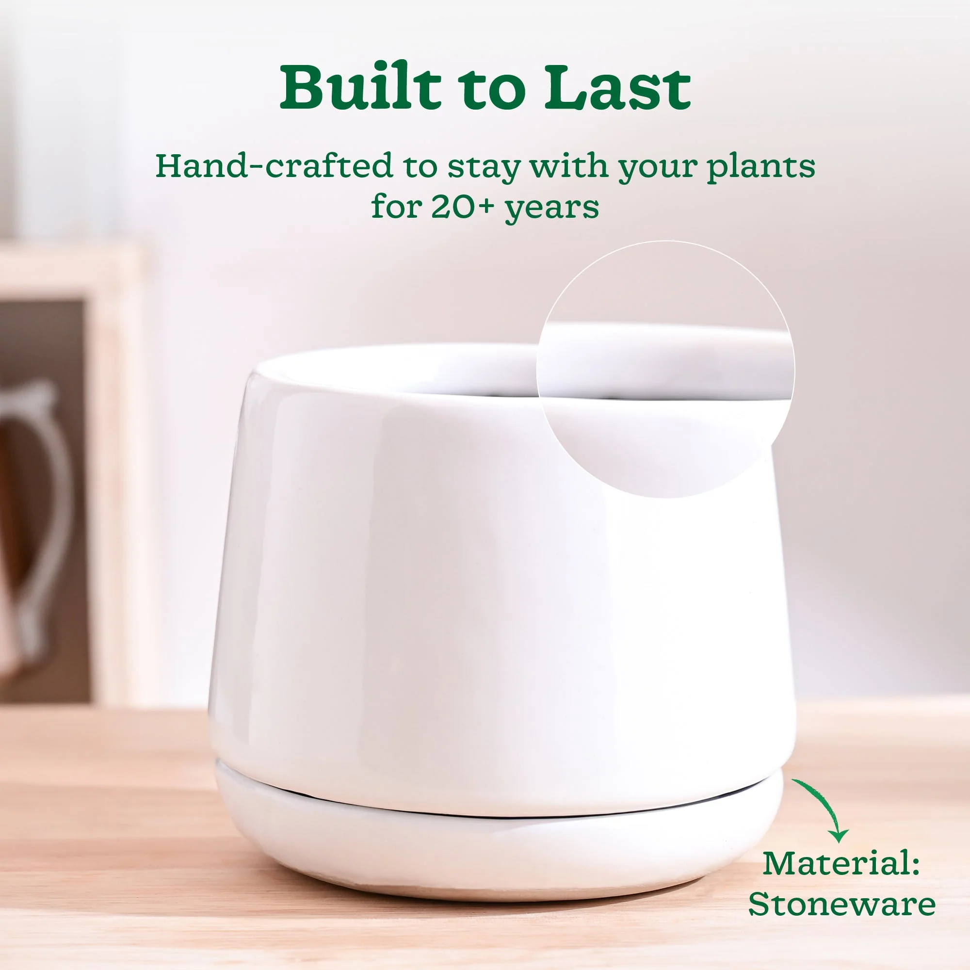 Monsoon Medley Ceramic Planter - Image 11