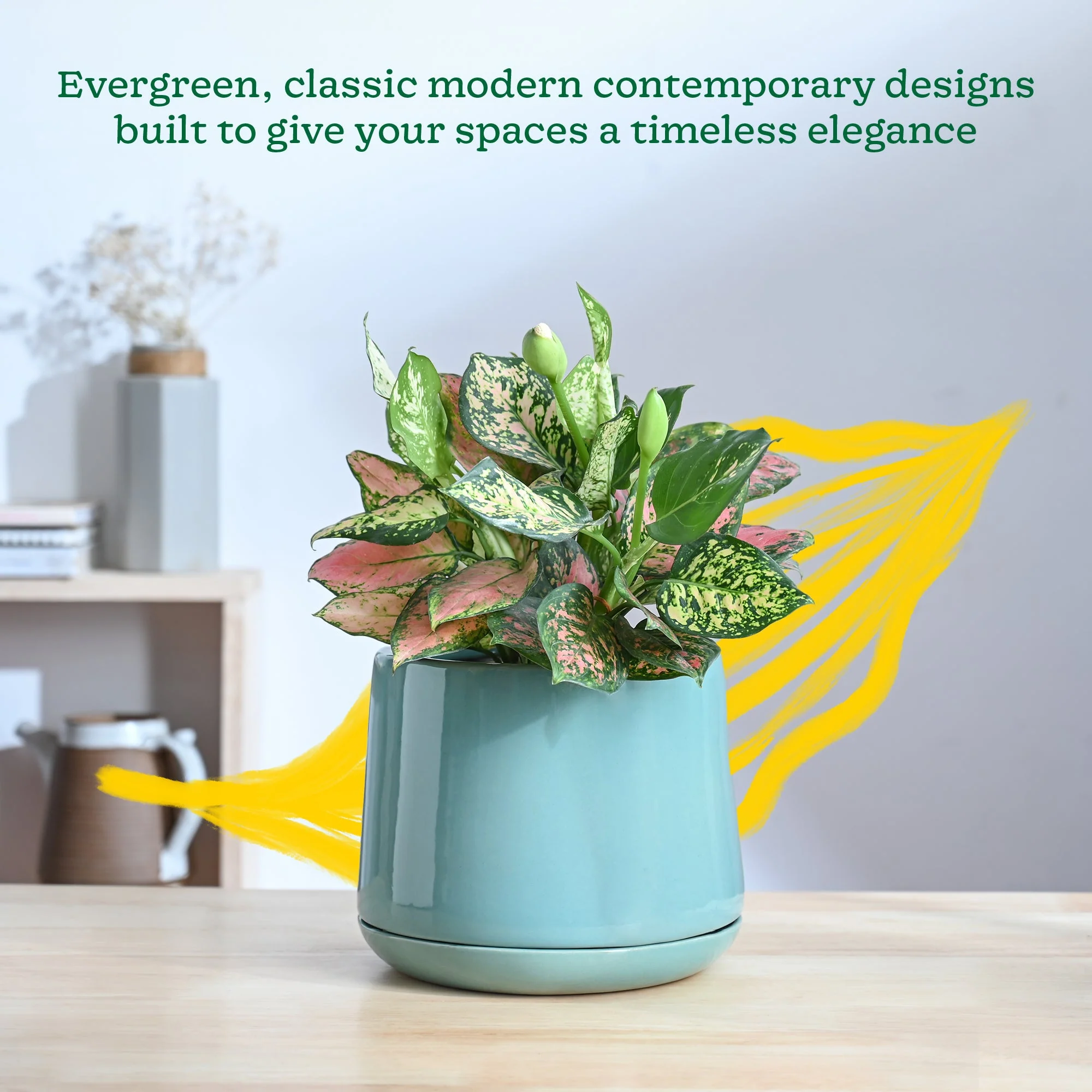 Monsoon Medley Ceramic Planter - Image 18