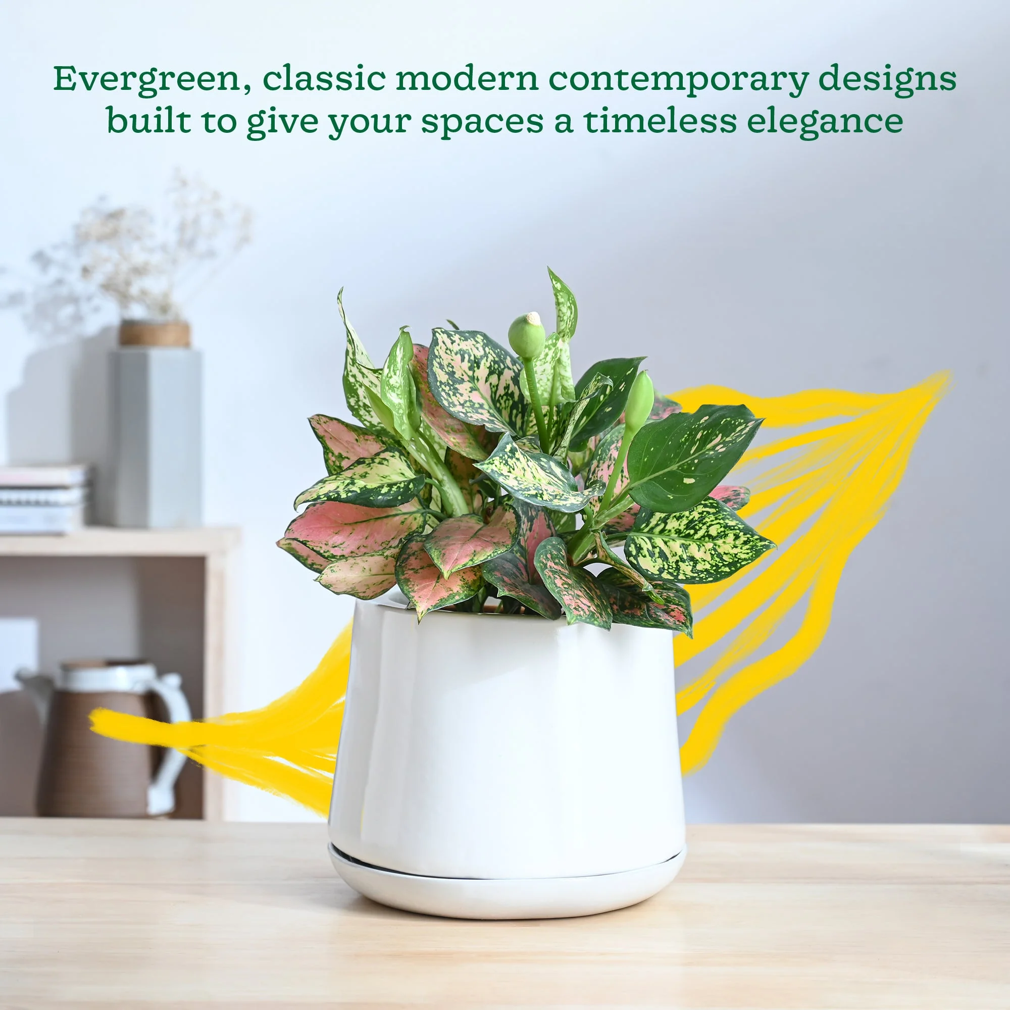Monsoon Medley Ceramic Planter - Image 26