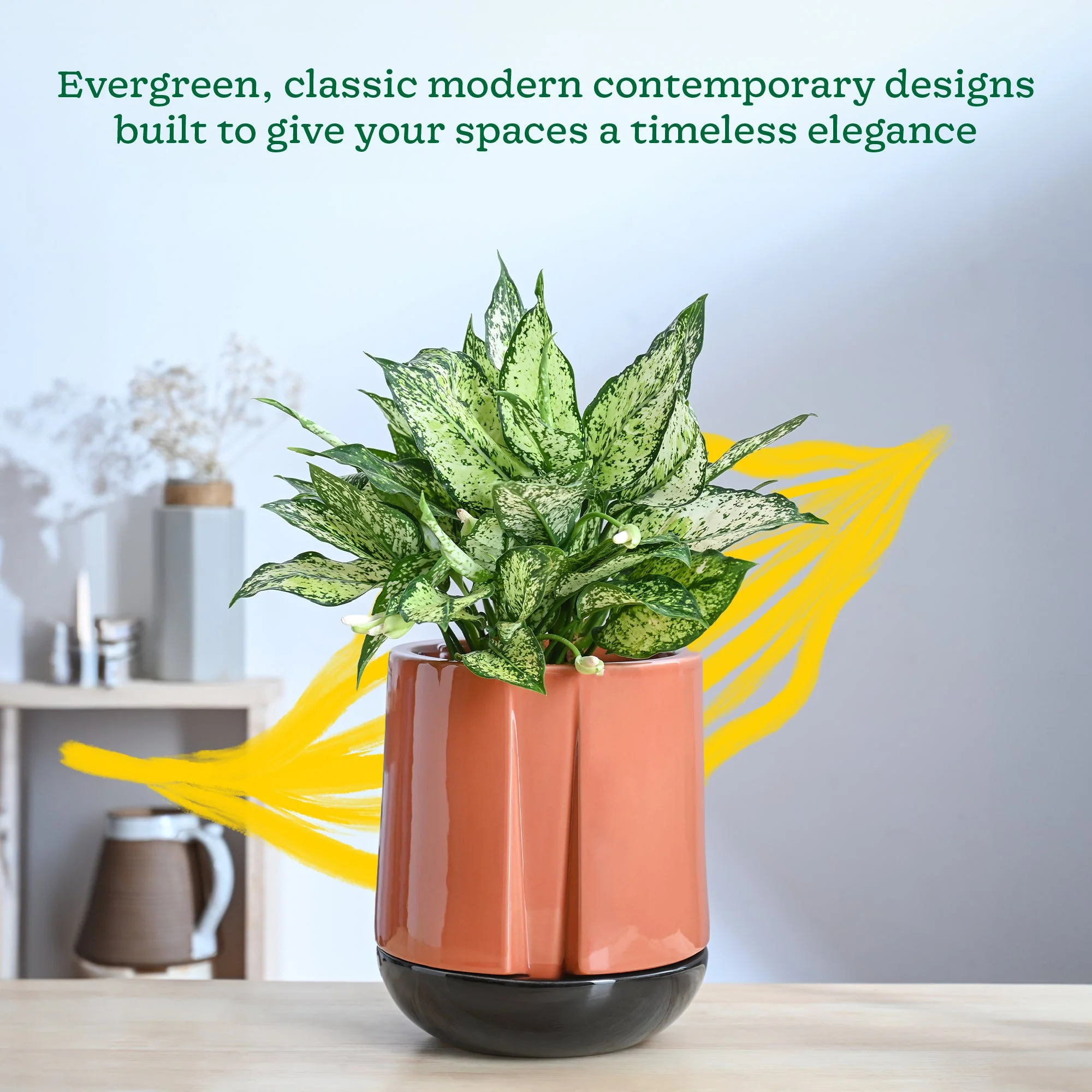 Moonlight Drama Ceramic Planter - Image 10
