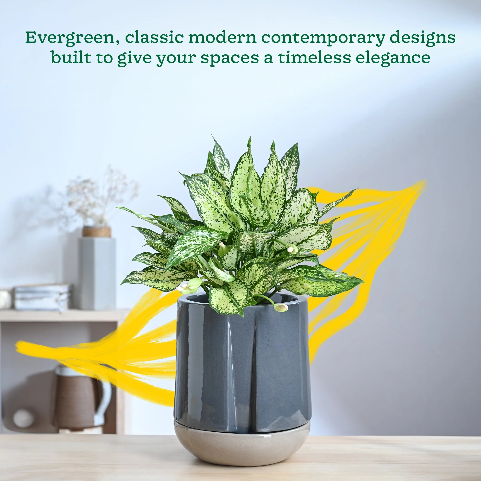 Moonlight Drama Ceramic Planter - Image 18