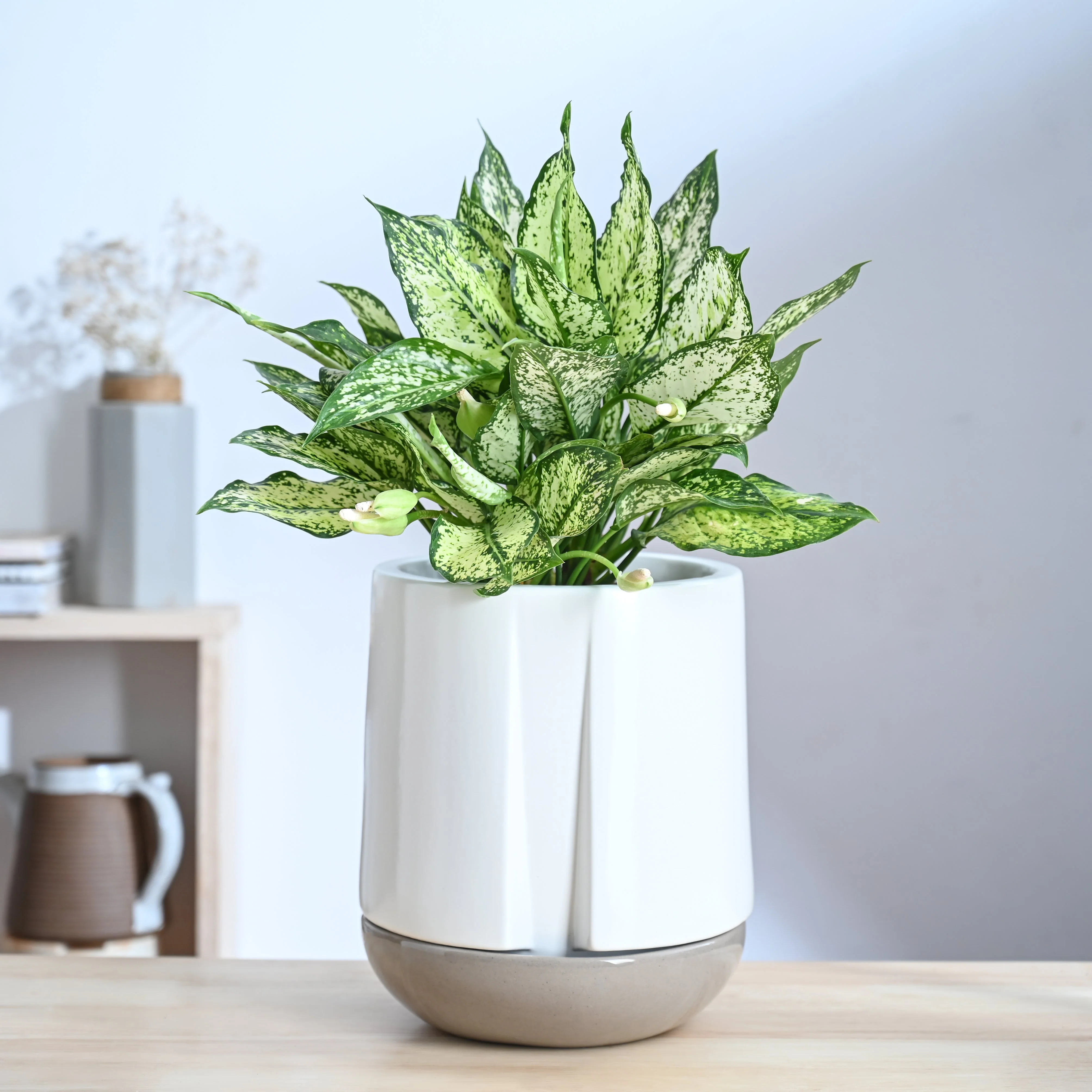 Moonlight Drama Ceramic Planter - Image 25