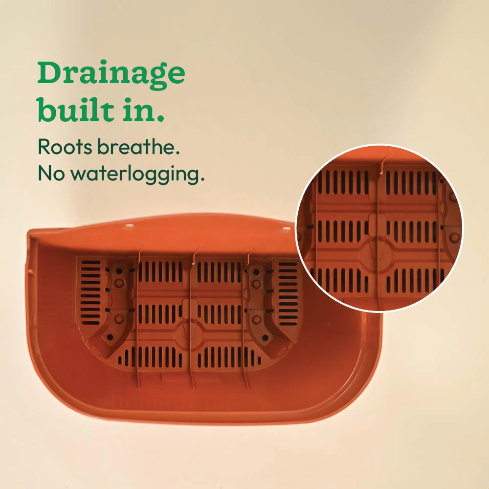 Mounta Wall Planter:- Set of 5 - Image 3