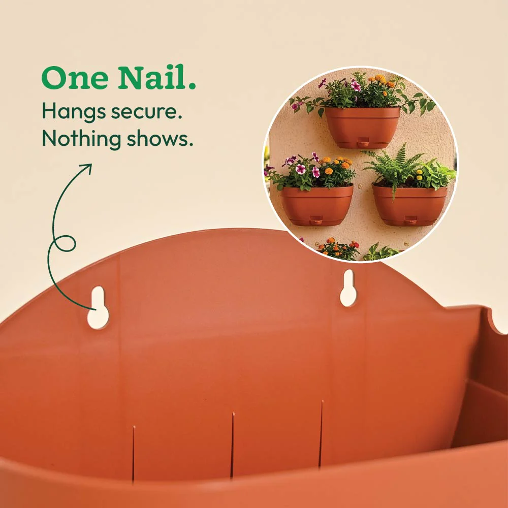 Mounta Wall Planter:- Set of 5 - Image 4