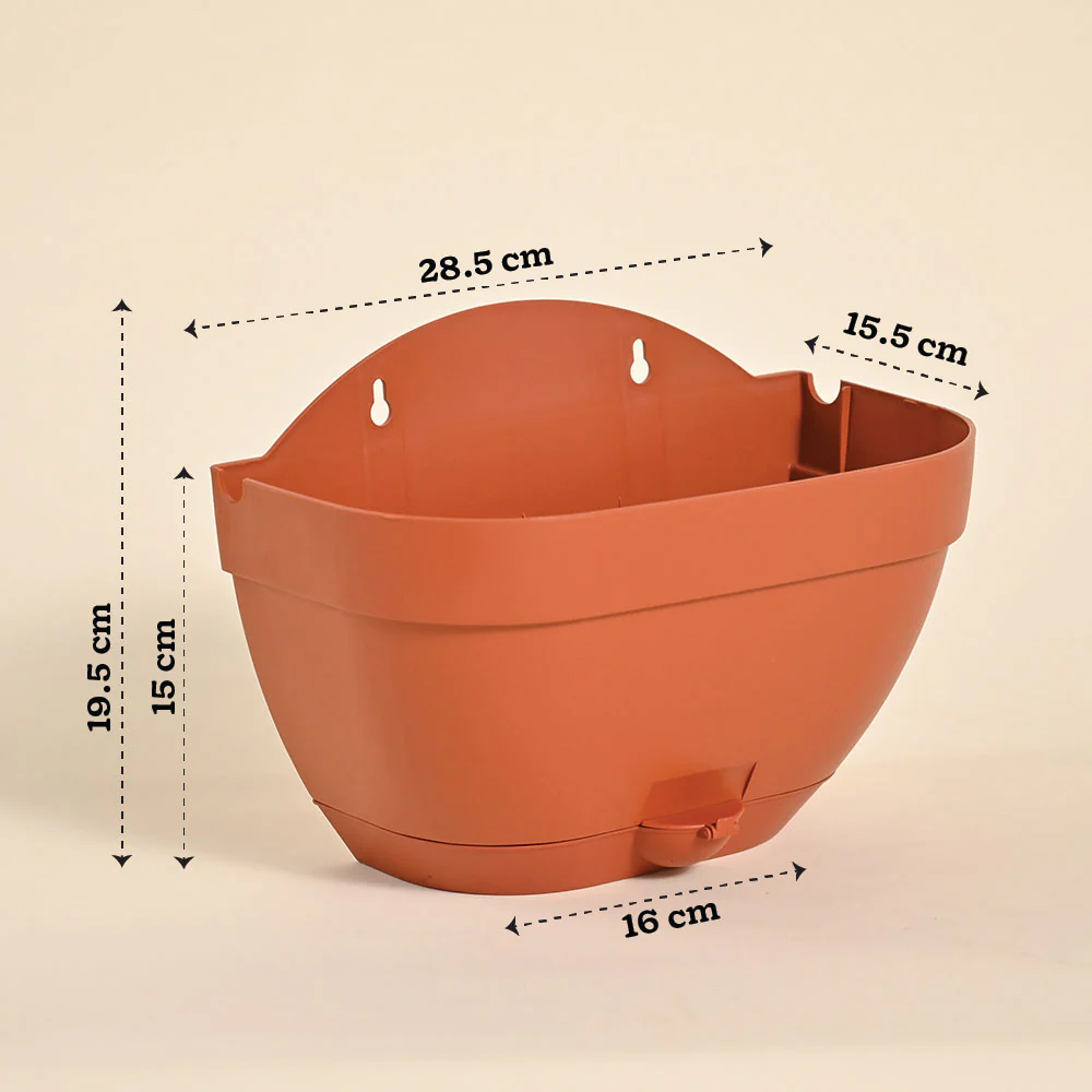 Mounta Wall Planter:- Set of 5 - Image 6