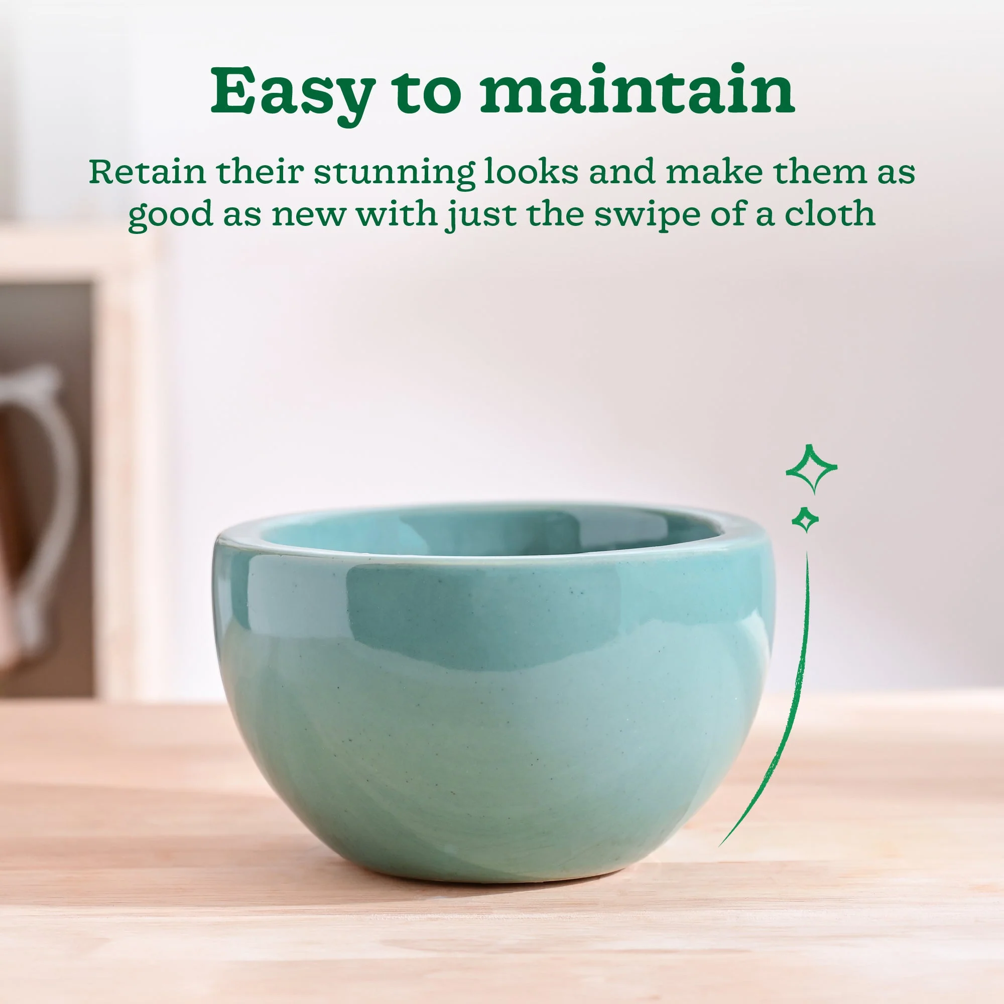 Nature's Hum Fat Ceramic Planter - Image 4