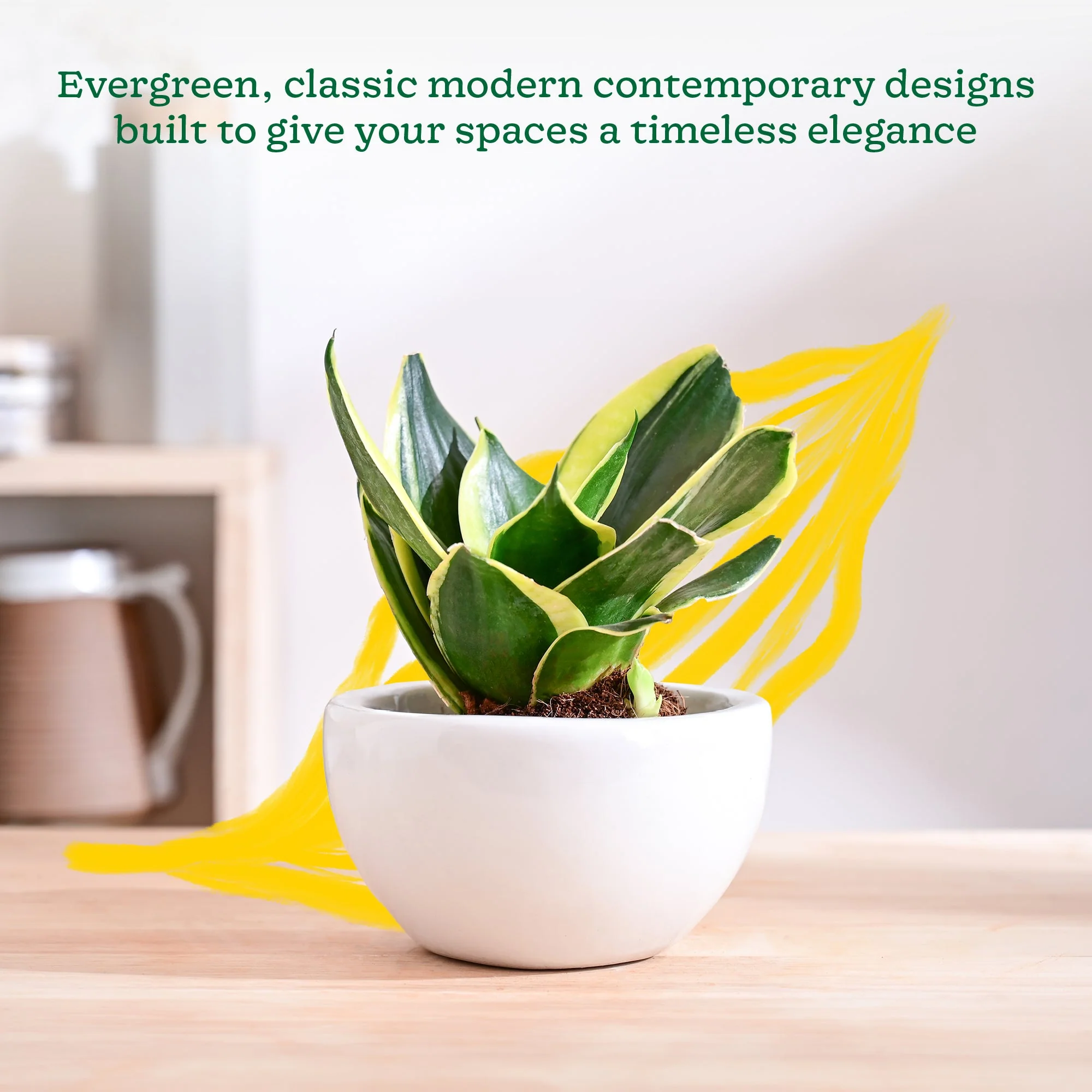 Nature's Hum Fat Ceramic Planter - Image 58
