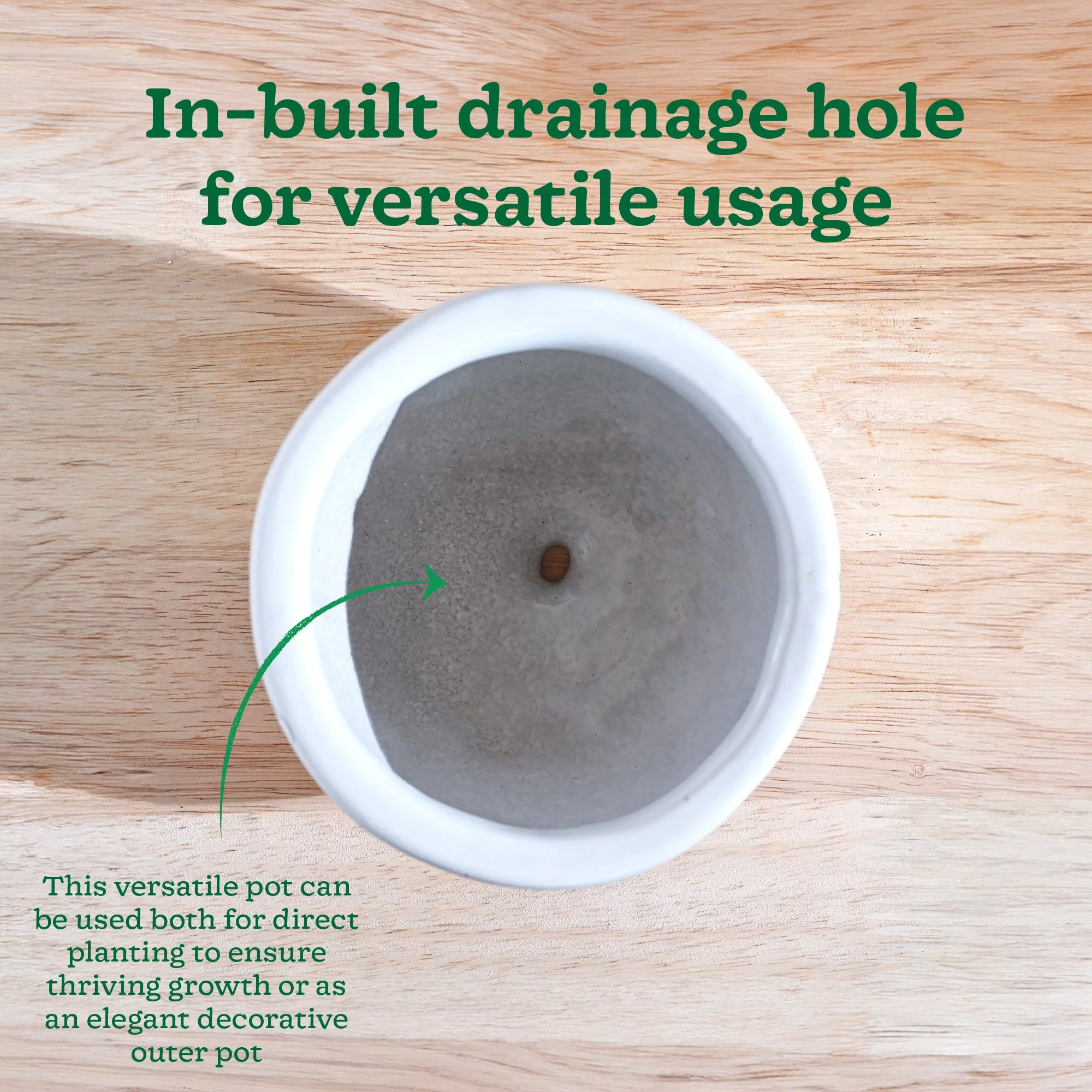 Nature's Hum Fat Ceramic Planter - Image 63