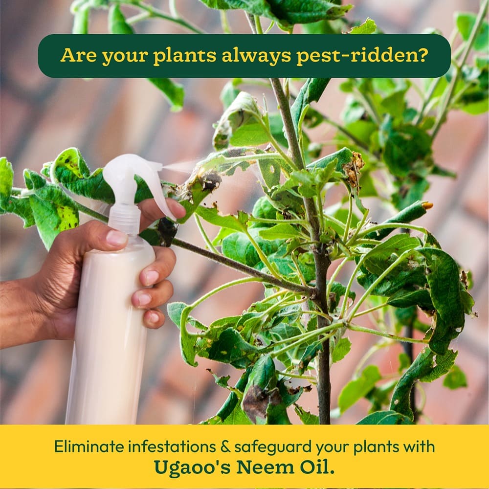 Neem Oil - 250 ml - Image 3