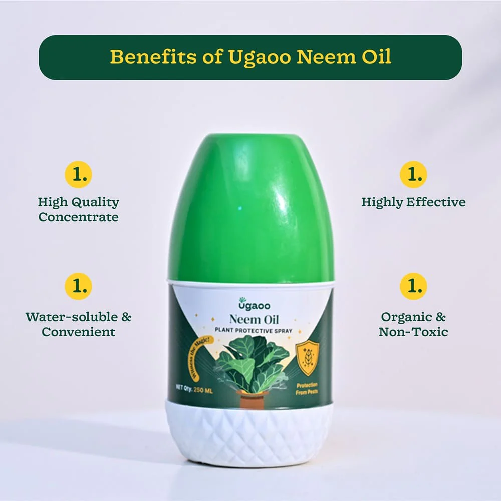 Neem Oil - 250 ml - Image 4