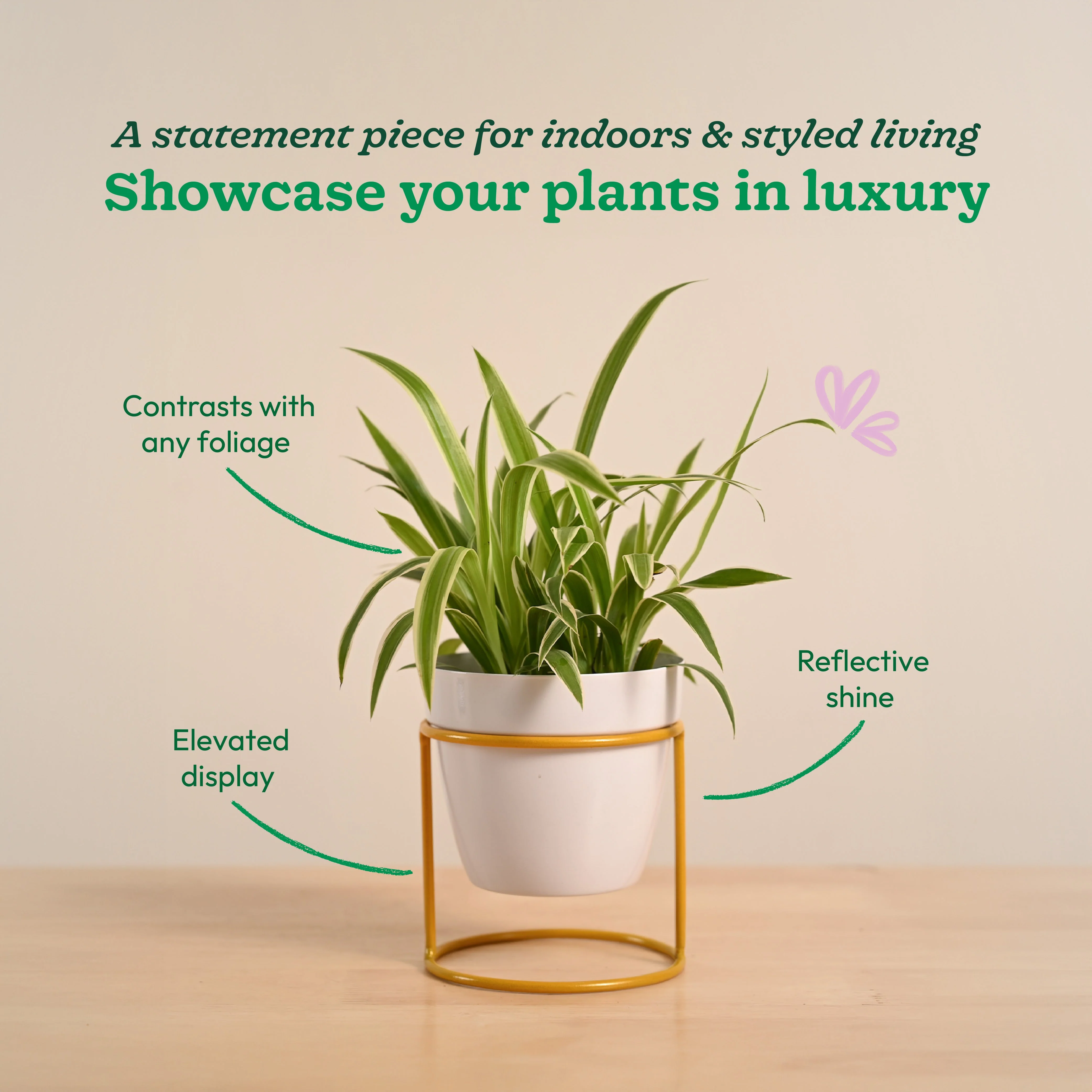 Nyx Planter - Image 18