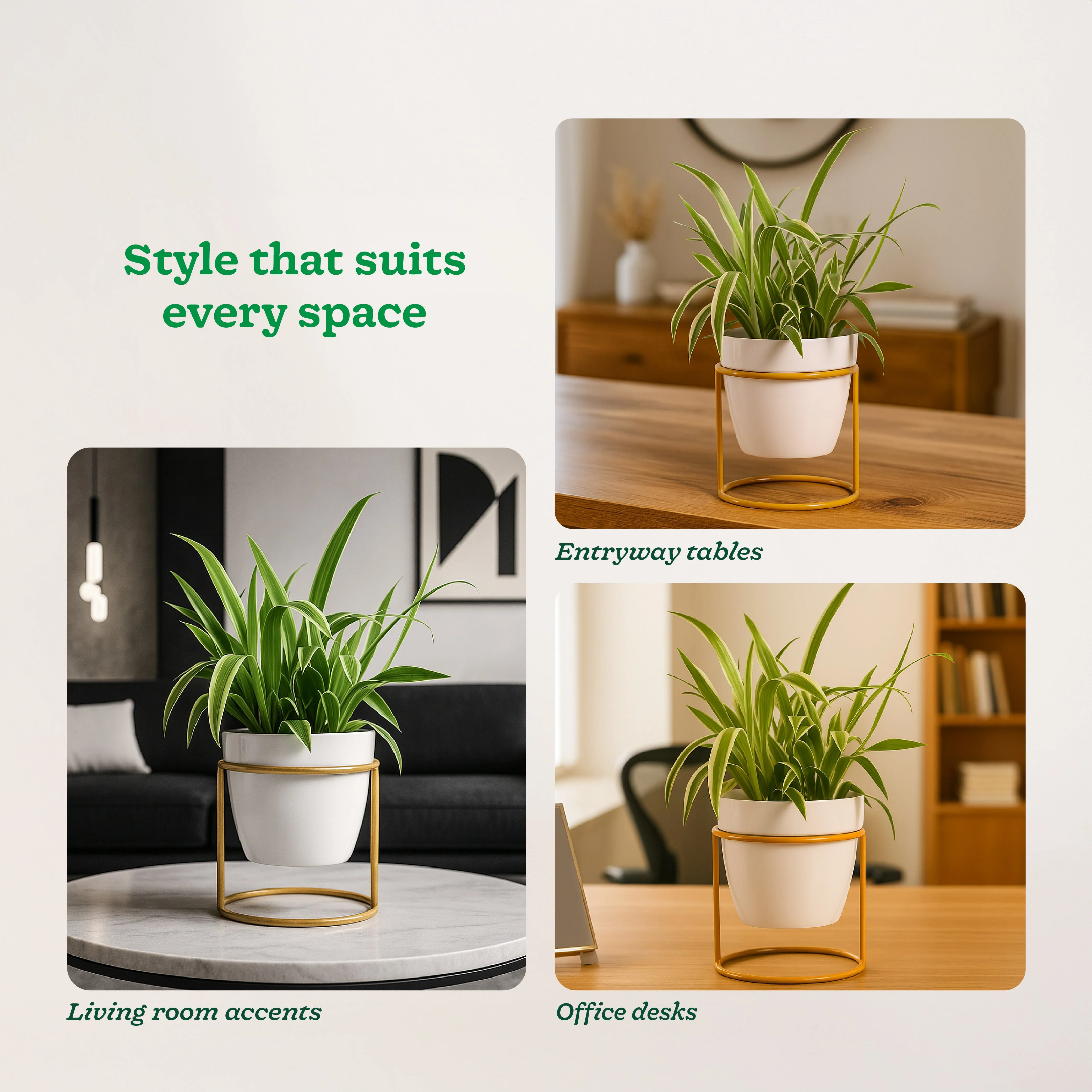 Nyx Planter - Image 20