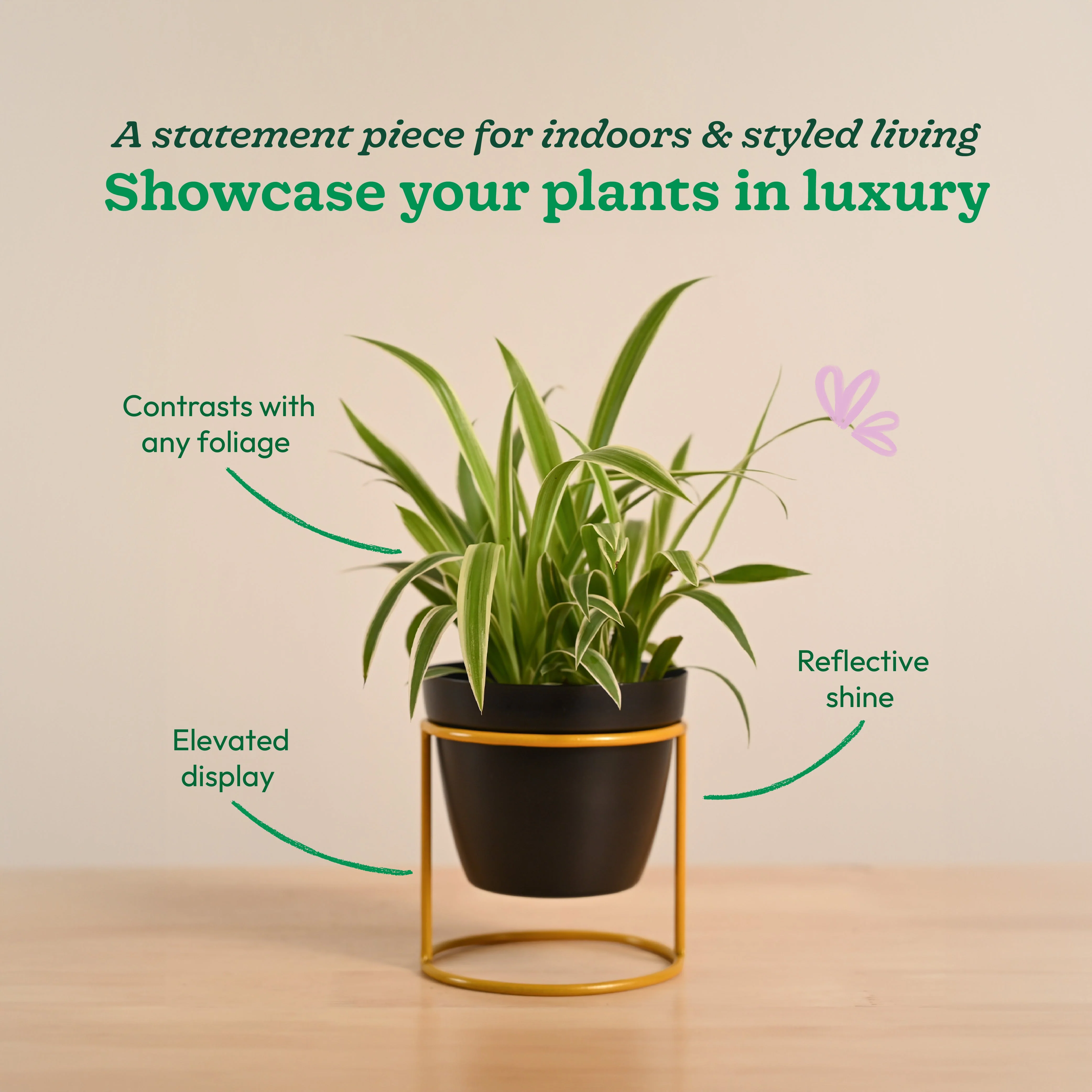 Nyx Planter - Image 4