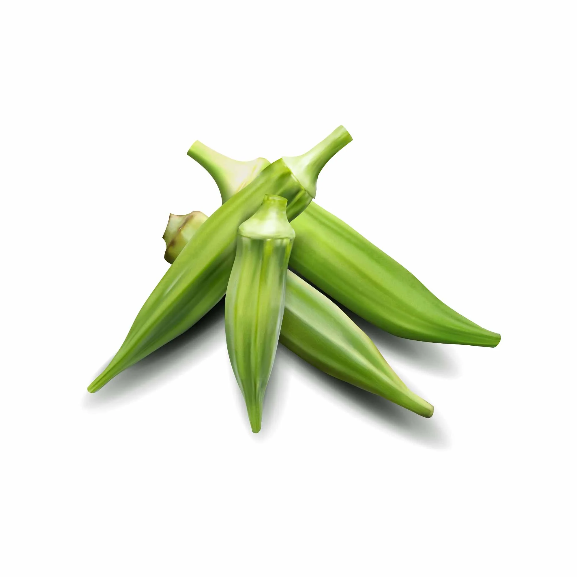 Okra Seeds (Lady Finger) - Image 27