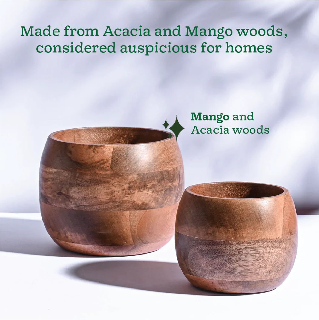 Orbit Wooden Planter - Set of 2 - Image 6