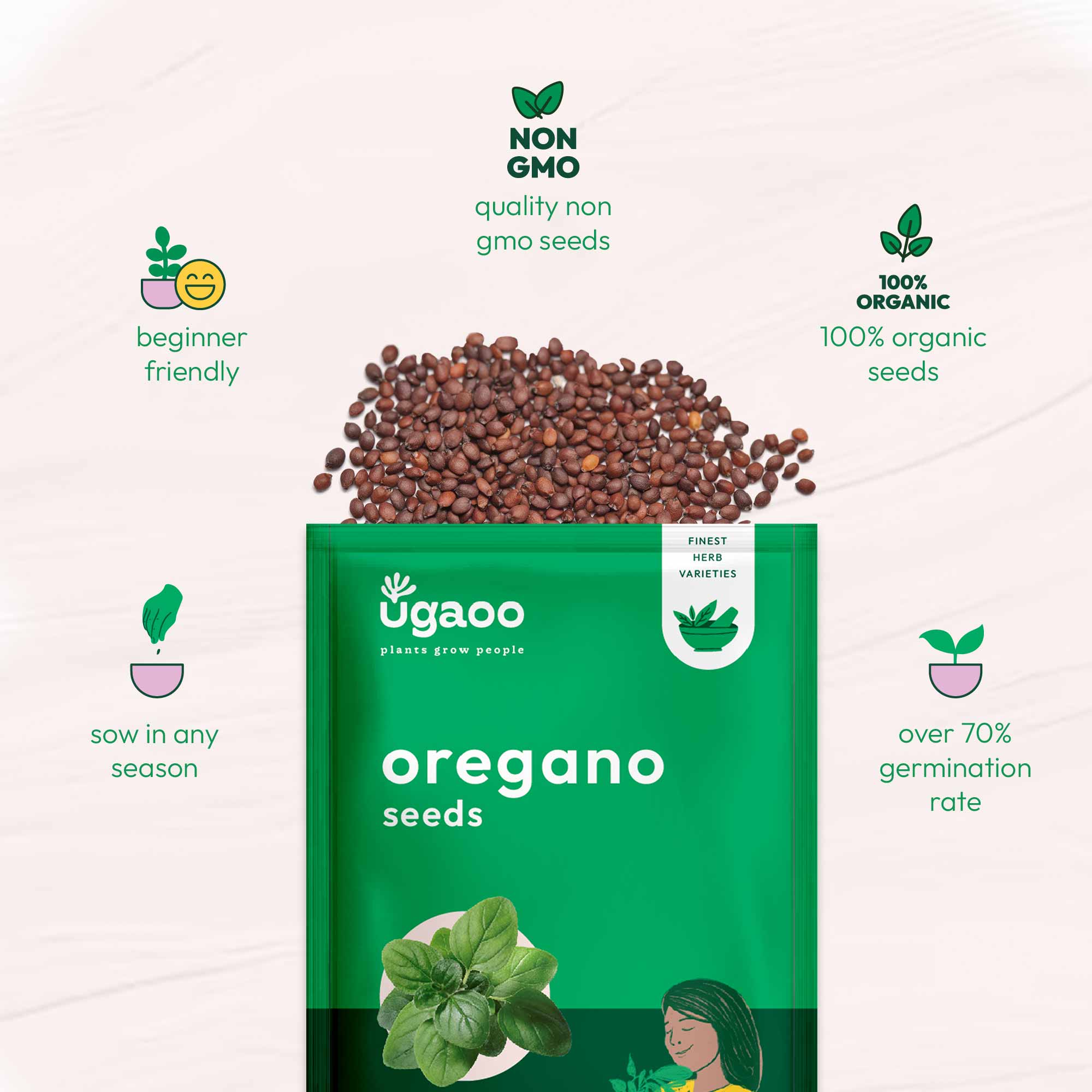 Oregano Seeds - Image 6