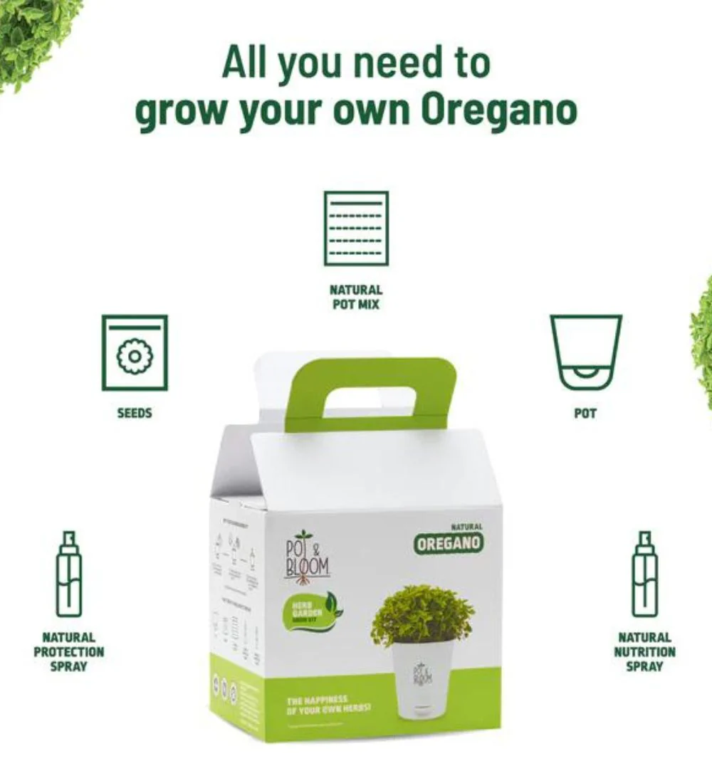 Oregano Grow Kit - Image 4