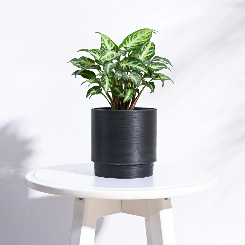Oslo Planter - Image 11