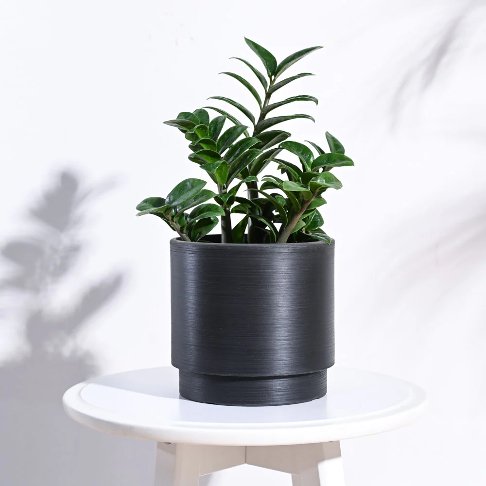 Oslo Planter - Image 26