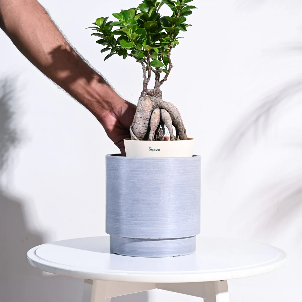 Oslo Planter - Image 34