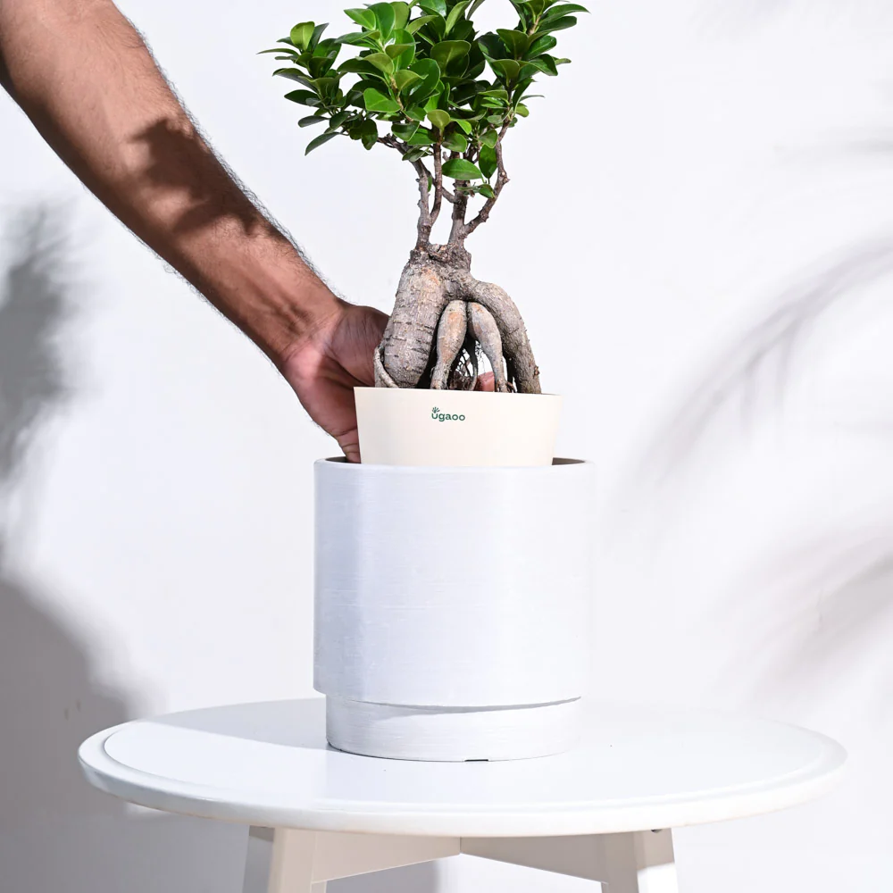 Oslo Planter - Image 39