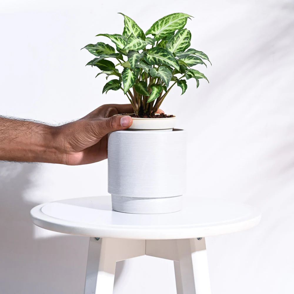 Oslo Planter - Image 9