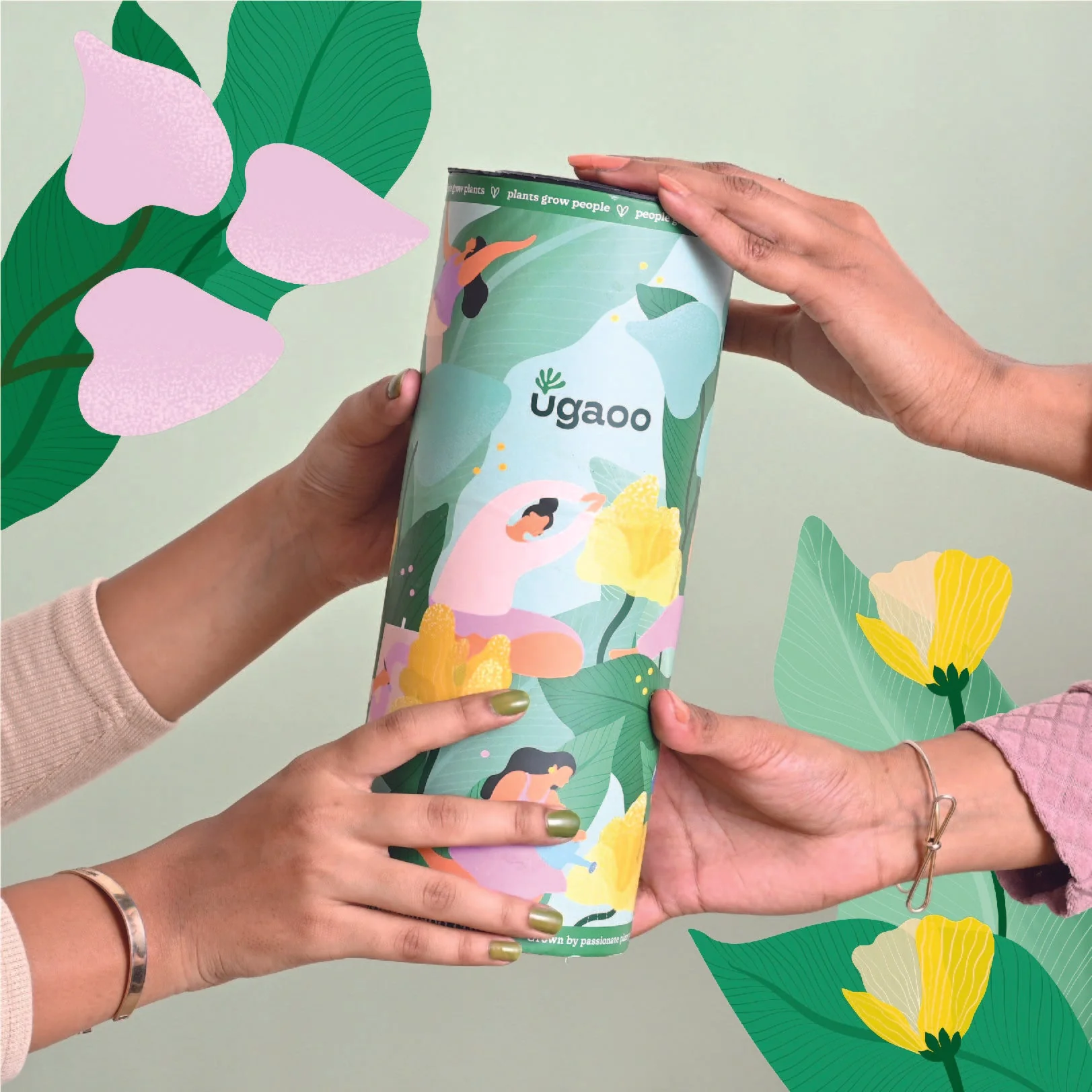 Oxycardium Green Plant Gift for Women's Day - Image 5