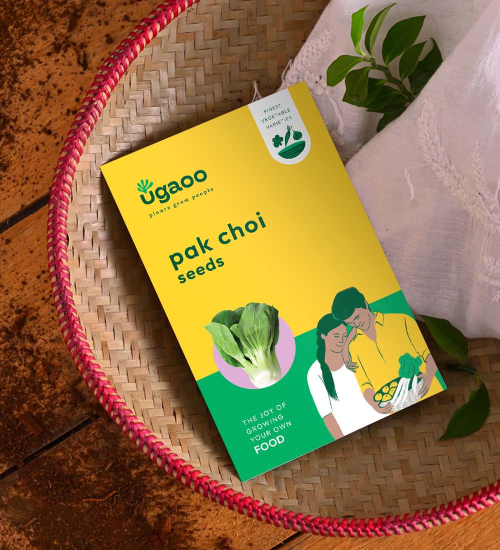Pak Choi Seeds - Image 2
