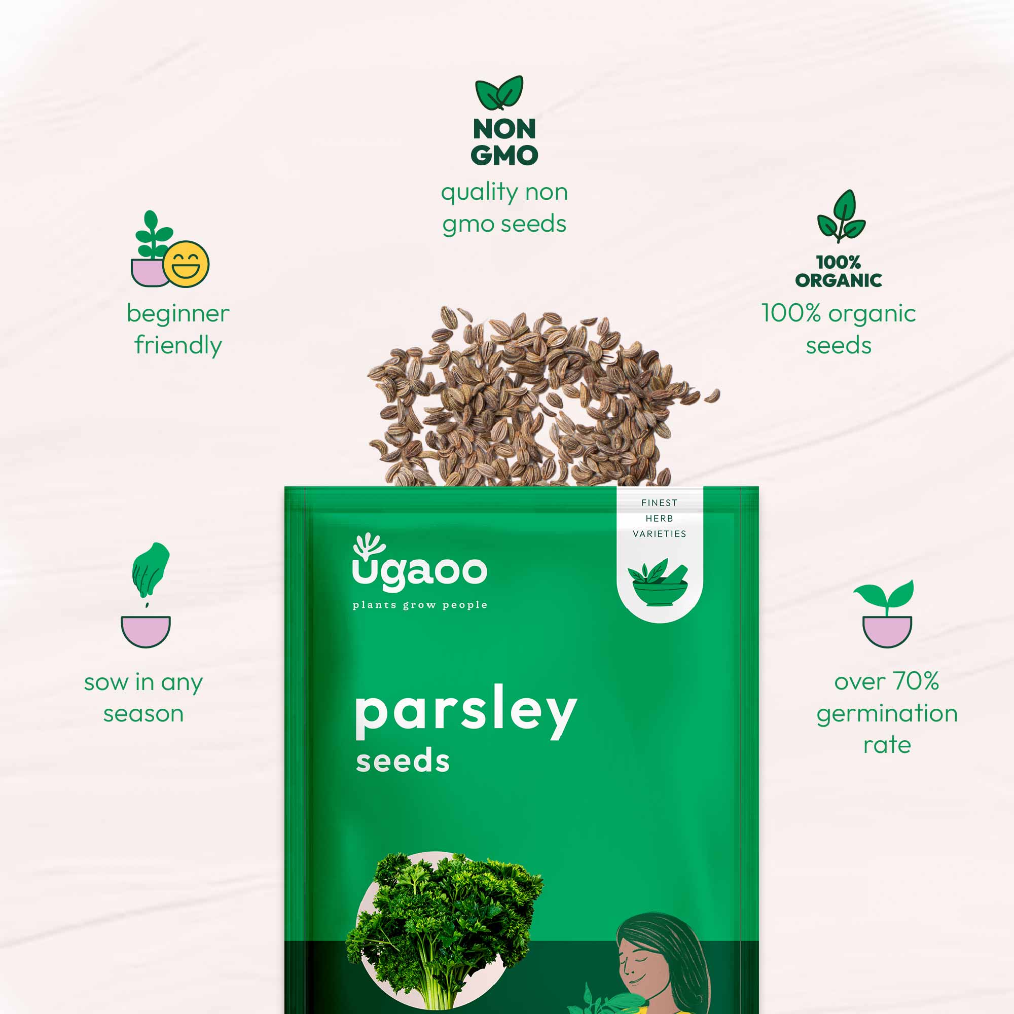 Parsley Seeds - Image 5