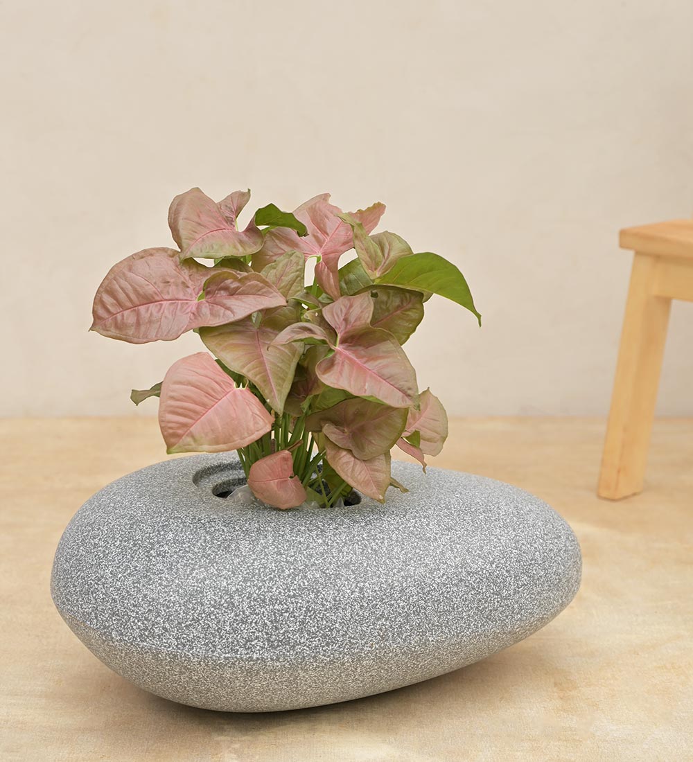 Pebble Shaped Planter - Image 6