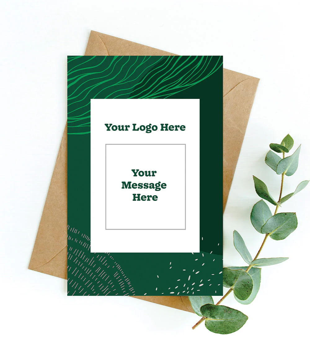 Peperomia Green Plant Gift Hamper - Image 3