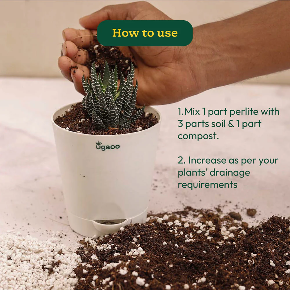 Perlite - 250gm - Image 3
