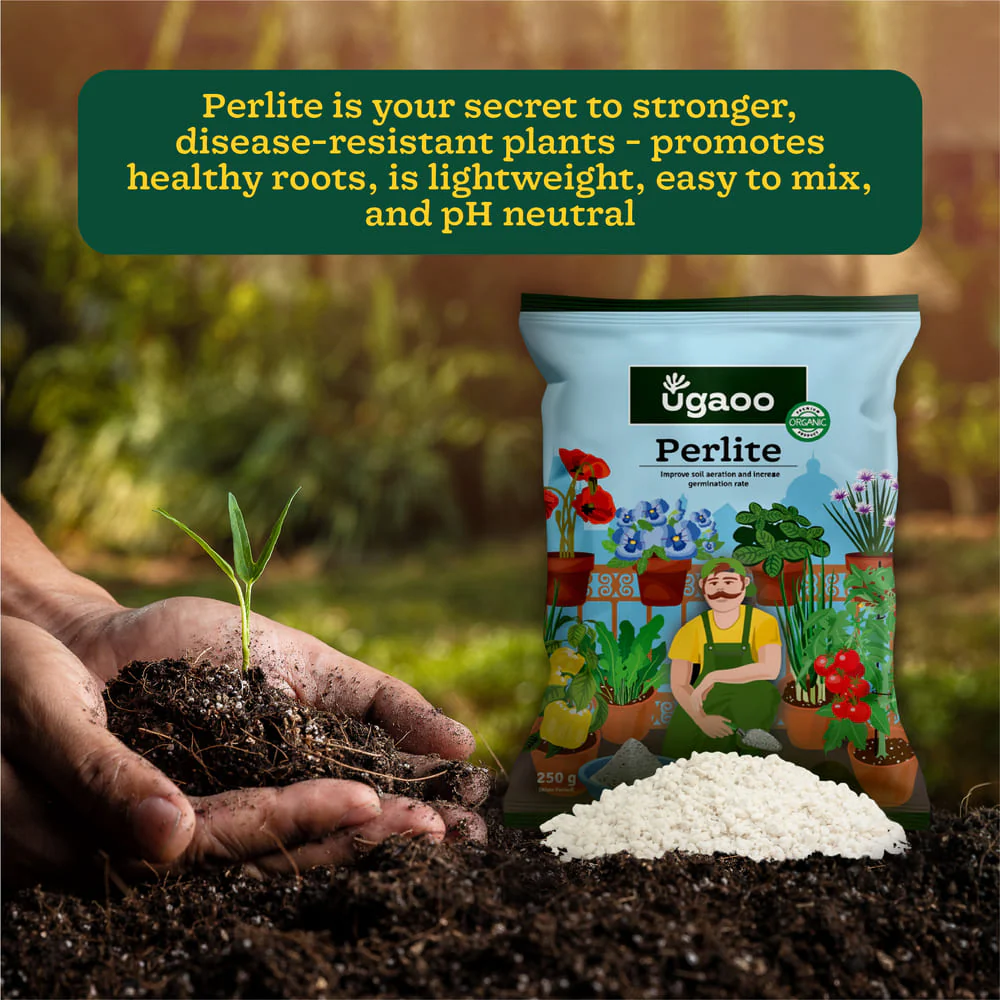 Perlite - 250gm - Image 5