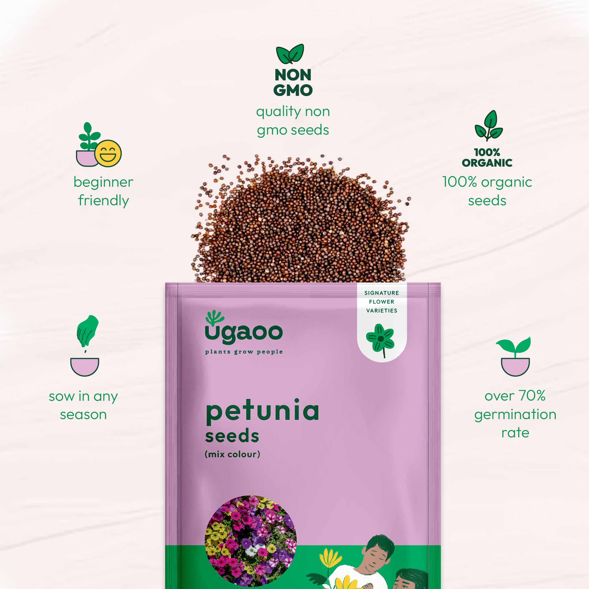 Petunia Mix Seeds - Image 6