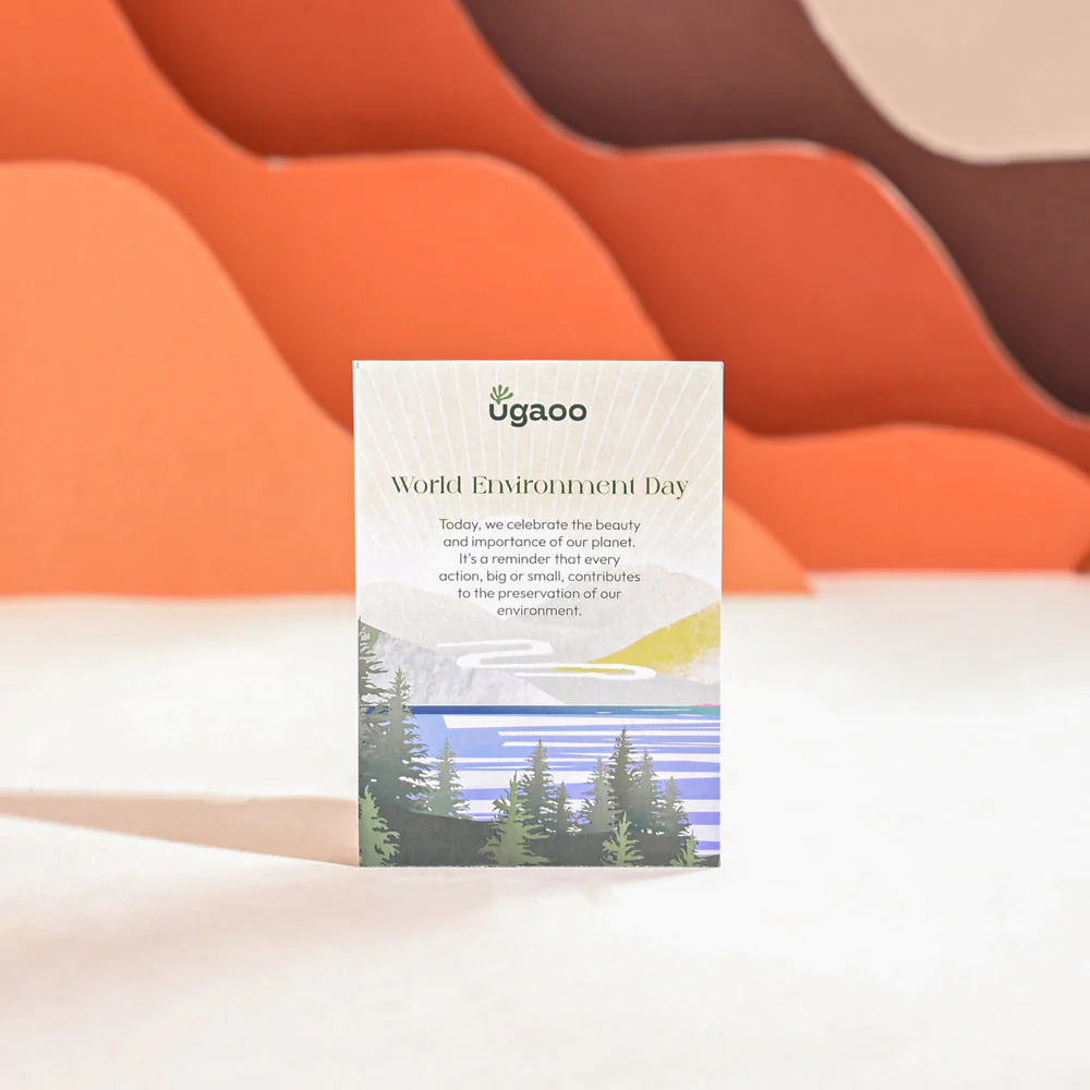 Philodendron Ceylon Golden Plant For Environment Day Gifting - Image 45